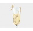 Fiona Franchimon No 1 Hairpin PETITE - Champagnized 5 stk 