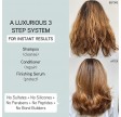 Iles Formula The Signature Collection Gift Box