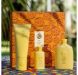 Oribe Hair Alchemy Collection 