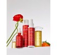 Philip B Scalp Booster System Kit